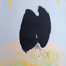 guillermo hennekens