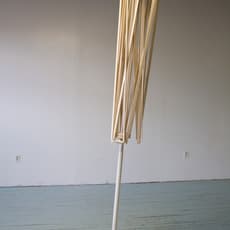 Karyn Olivier