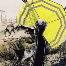 Helga Schmidhuber