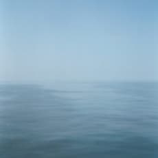 Katrien Vermeire