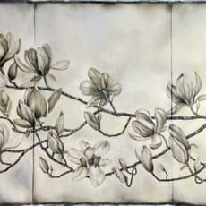 Emily Farish