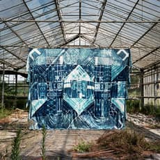 Koi Persyn