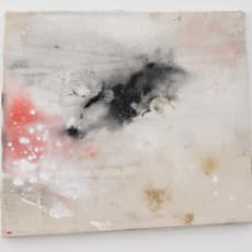 Lucy Dodd