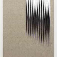 Line Busch