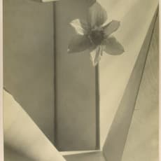 John Vanderpant