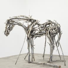 Deborah Butterfield