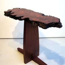 Mira Nakashima