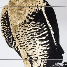 Tim Bengel