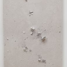 Zhan Wang 展望