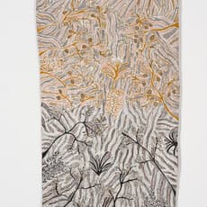 Yalmakany Marawili