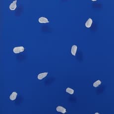 Andreas Zagler
