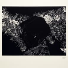 Leng Bing-Chuan