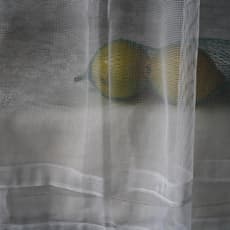 Saskia Boelsums