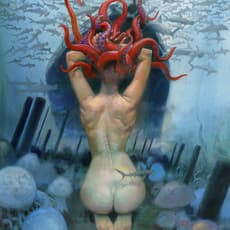 Fred Harper