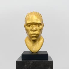Thomas J Price