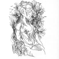 Ligia Macovei