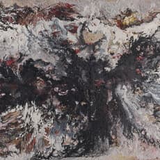Bernard Schultze