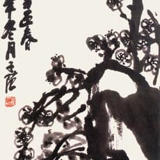 Cui Zi Fan