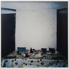 Dayanita Singh