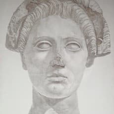 Sherry Camhy