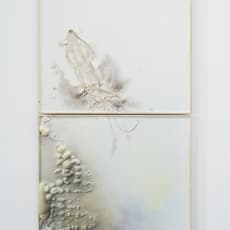 Guillaume Leblon