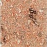 Tam Van Tran