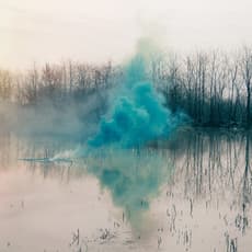 Filippo Minelli