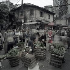 Qin Wen