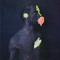 Dietmar Busse