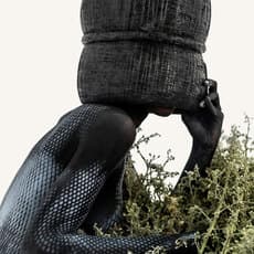 Zana Masombuka