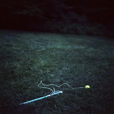 Amanda Marchand