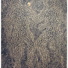 Didier William