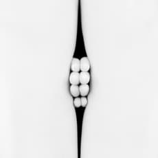 Eric Marrian