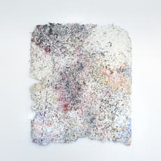 David Goodman