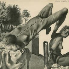 Federico Castellon