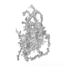 Aljoscha