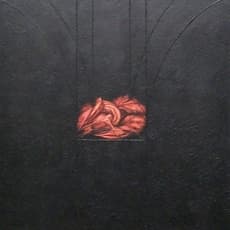 Maureen Drdak