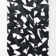 Jeena Shin