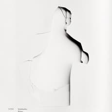 Assaf Shaham