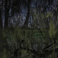 Didier Goupy