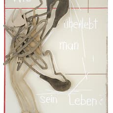 Birgit Brenner