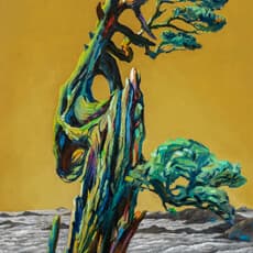 WANG Te-Ho