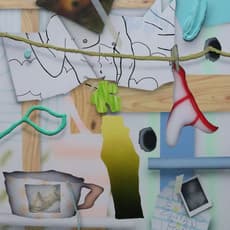 Brandon Lipchik