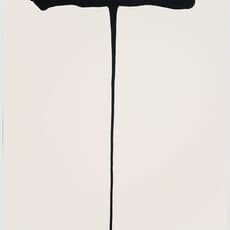 Anna Maria Maiolino, Codificações Matéricas (1996) by Anna Maria Maiolino