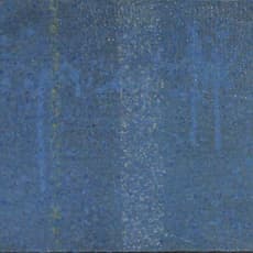 Wang Fengge