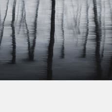 Yongdae Choi