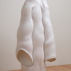 Peter Shelton