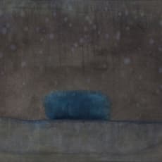 Bo Kim