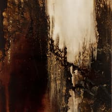 Anita Gapp