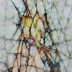 Don Cheol Shin